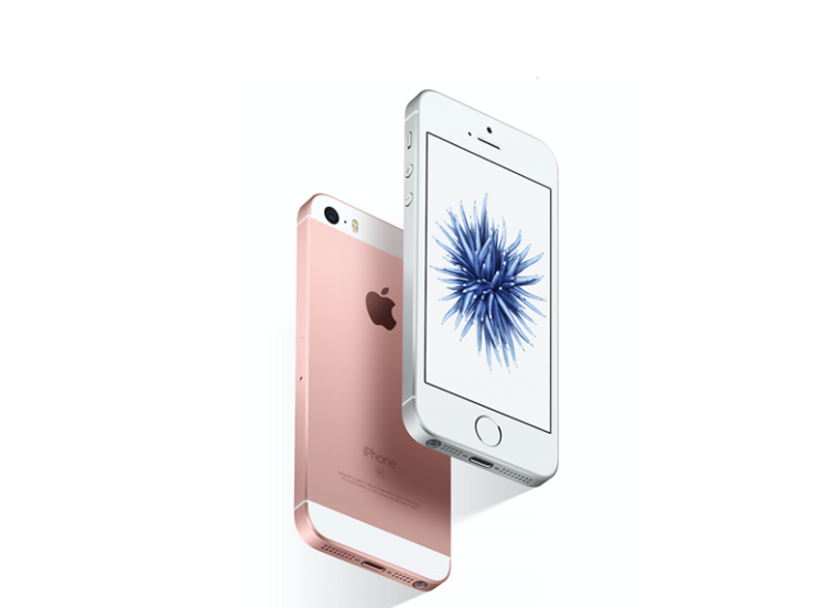 הודלף: אפל מתכננת את השקת iPhone SE2, יגיע בשם iPhone XE